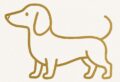 Dachshund clothing